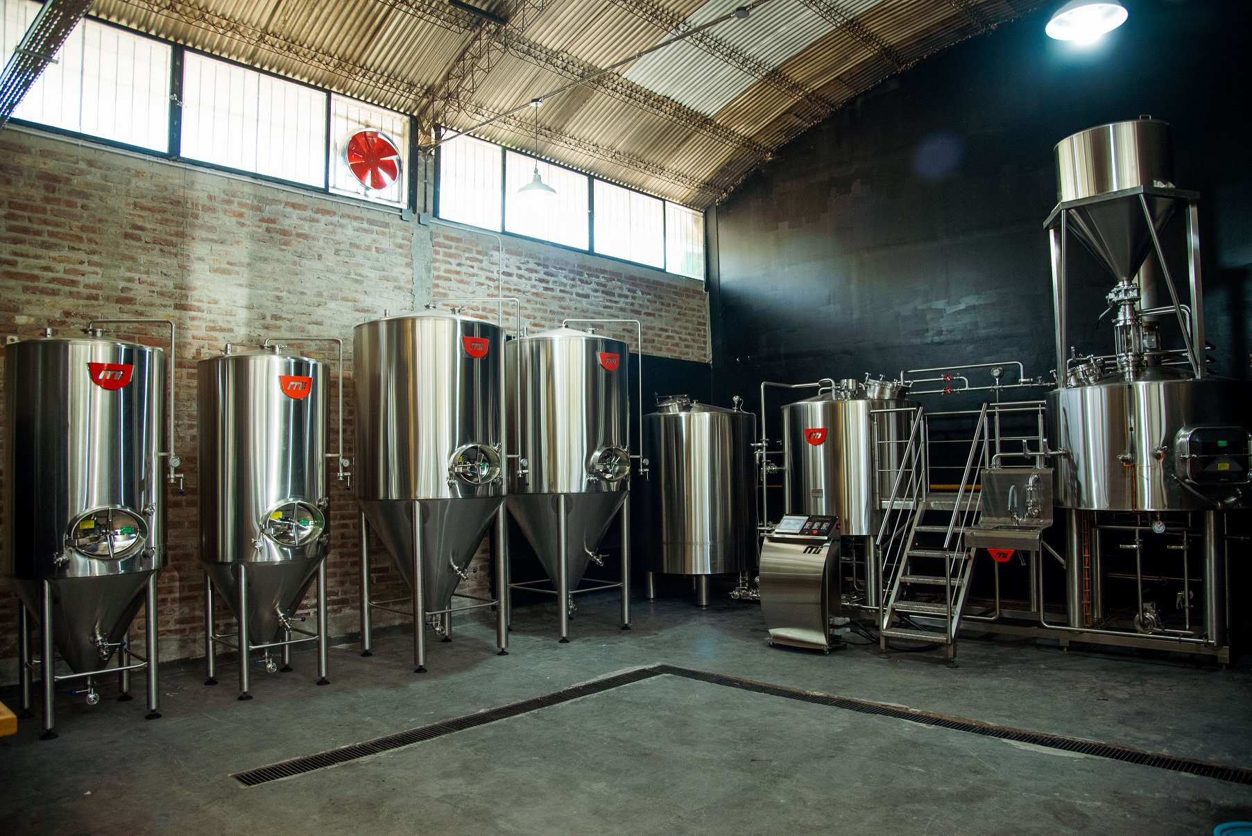 BRADER HOPS - MEDELINOX_-382