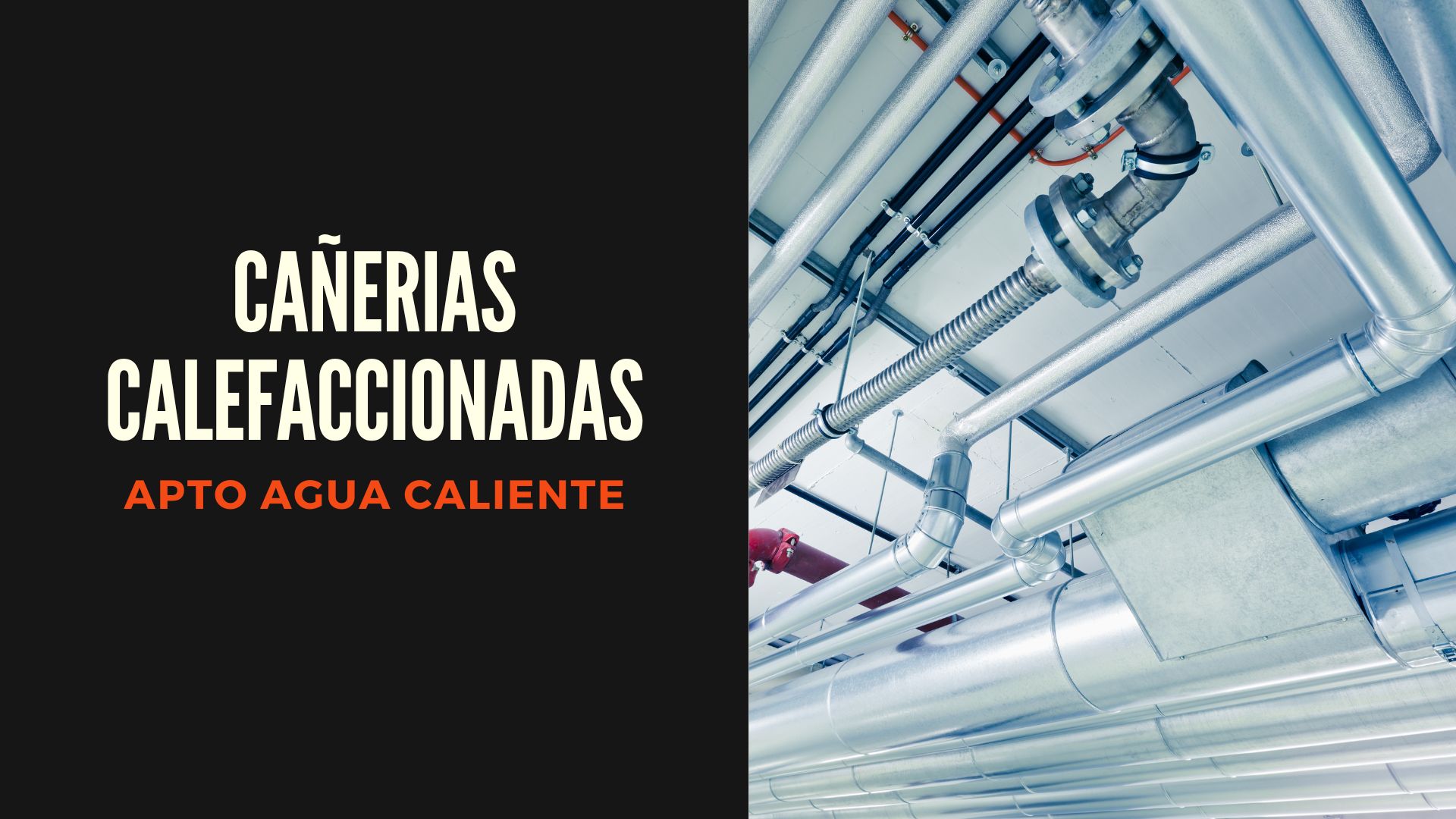 Productos chocolate Medelinox 2 Productos chocolate Medelinox 2
